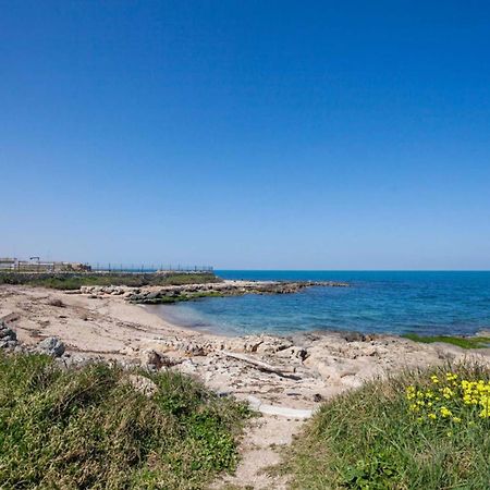Casaalmare Apartment Мола ди Бари Екстериор снимка